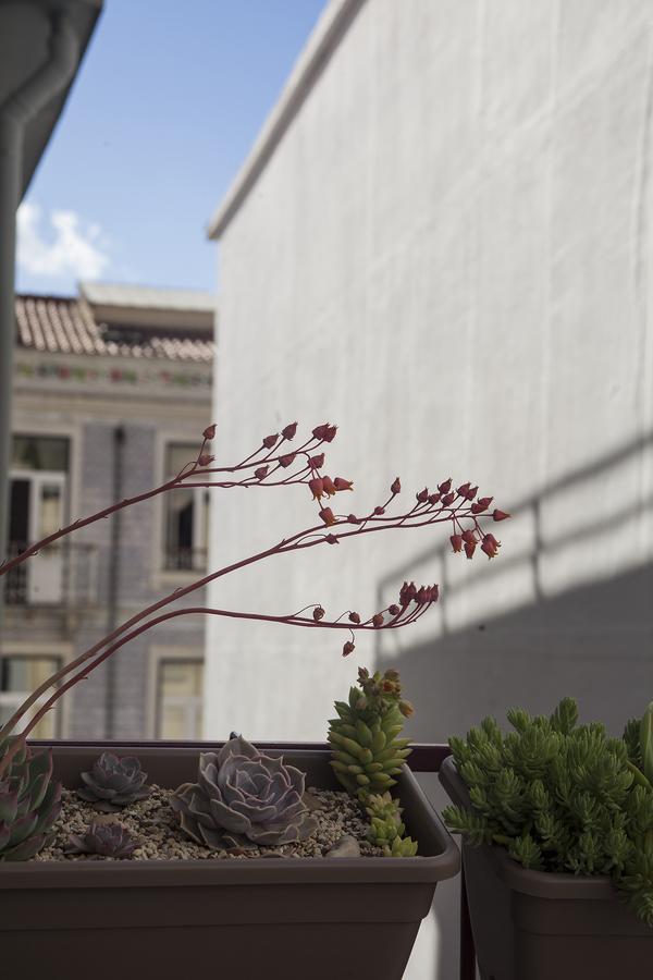 Lisbon Poets Inn Exteriör bild
